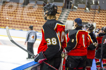 Fototapeta premium Hockey