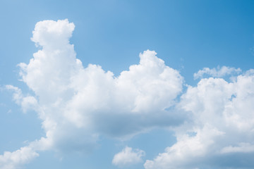 Fototapeta premium cloud and the blue sky