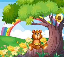 Fototapeta premium A bear under the tree with a rainbow at the back