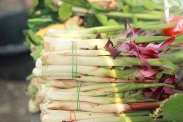 Siam tulip flower in the market