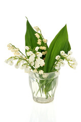 Brins de muguet dans un verre d'eau