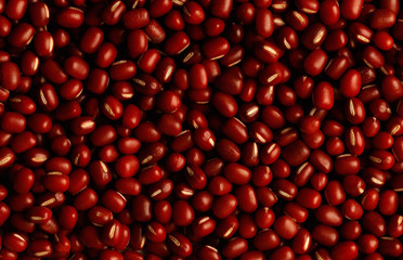 음식 백그라운드