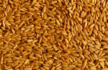 음식 백그라운드