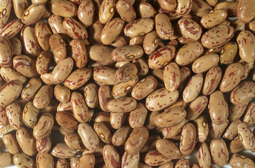 음식 백그라운드