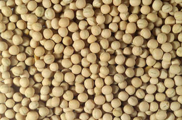 음식 백그라운드