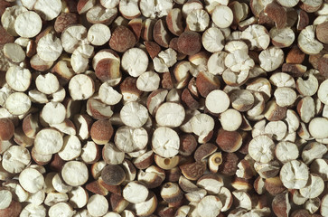 음식 백그라운드