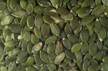 음식 백그라운드