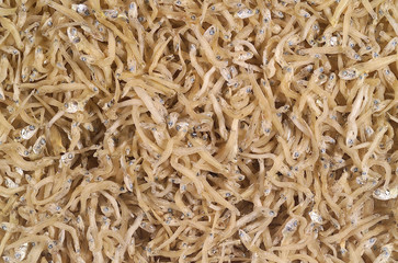 음식 백그라운드