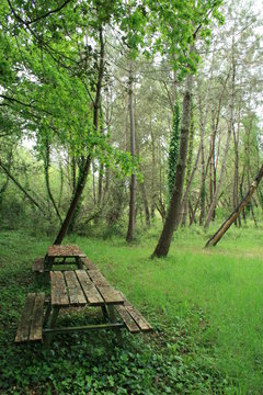 nature
