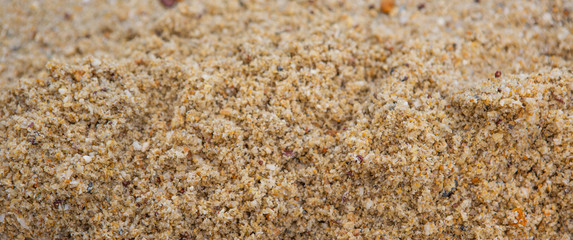 Beach Sand Background