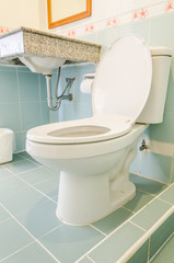 Toilet seat