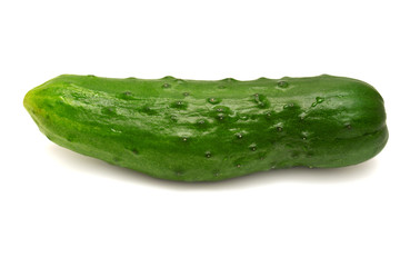 Cucumber