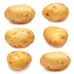 Collection of potato