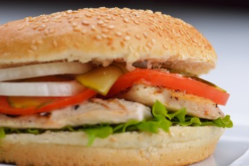 hamburger