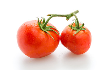 Tomato isolated on white