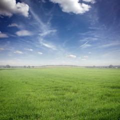 Landschaft / Himmel / Gras
