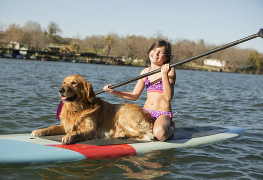 A child and a retriever dog on a paddleboard on the water.