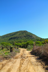 Narrow Rural Muddy Dirt Road in Africa