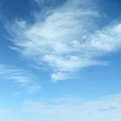 white fluffy clouds