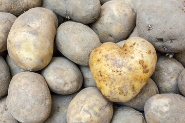 Heart Shaped Potato background