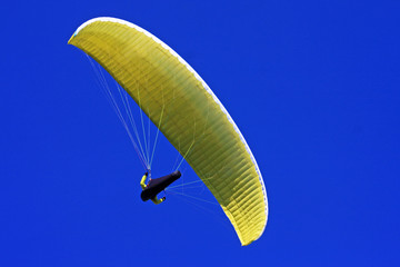 paraglider