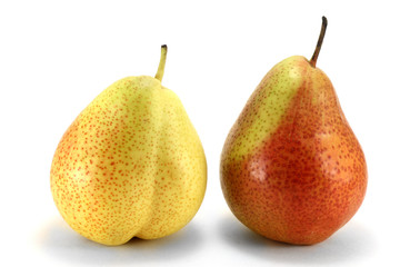 Груши китайские, желтая и красная