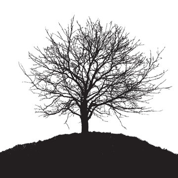 black tree silhouette