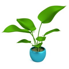 realistic 3d render of philodendron © bescec