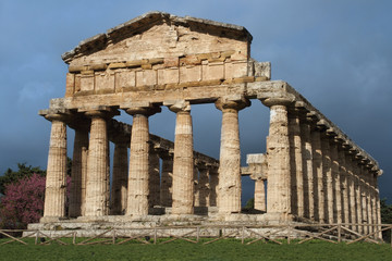 Fototapeta premium Paestum