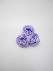 パープルのカーネーション