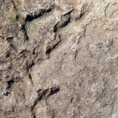 texture
