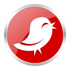 twitter icon