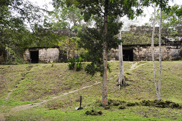 The Mayan ruins of Tikal