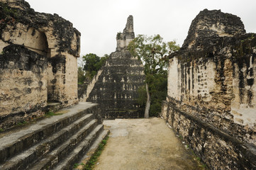 The Mayan ruins of Tikal