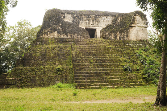 The Mayan ruins of Tikal