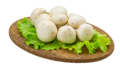 Raw Champignons
