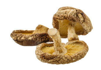 Dry asian mushroom