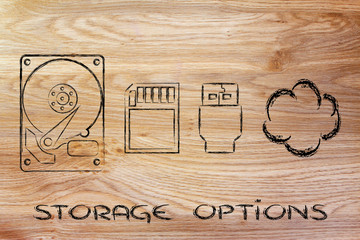 storage options: hard drives, sd card, usb key or cloud storage