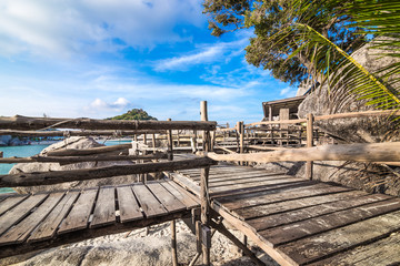 platform beside sea with coconut tree