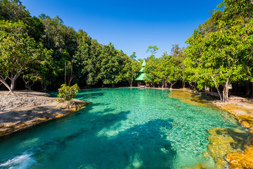 Emerald Pool is unseen pool in mangrove forest