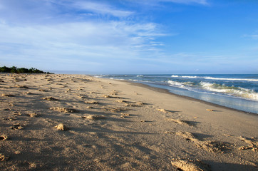 Fototapeta na wymiar ocean and sandy beach on blue sky background