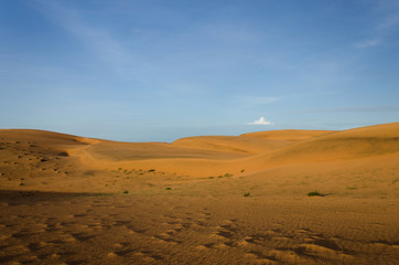Fototapeta na wymiar andscape, desert, golden sands and blue sky in Africa