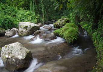 the flow of water, jungle, photo on long exposure