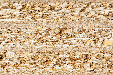 Particle board cross section texture