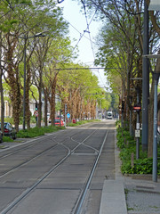Tramway coulée verte