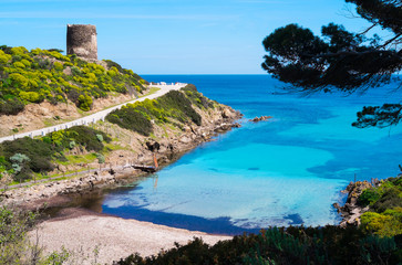 Asinara island in Sardinia, Italy