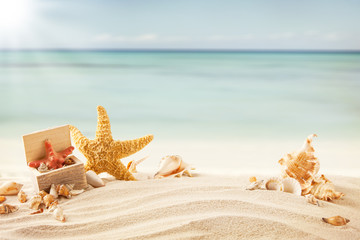 Fototapeta na wymiar Plaża latem z strafish i muszli