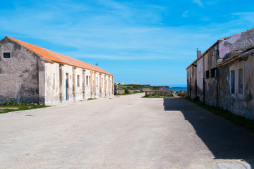 Fototapeta na wymiar Asinara island in Sardinia, Italy