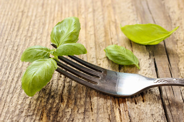 Basil leaves isolated on wooden background