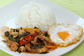 Chicken panang curry with rice and fried egg